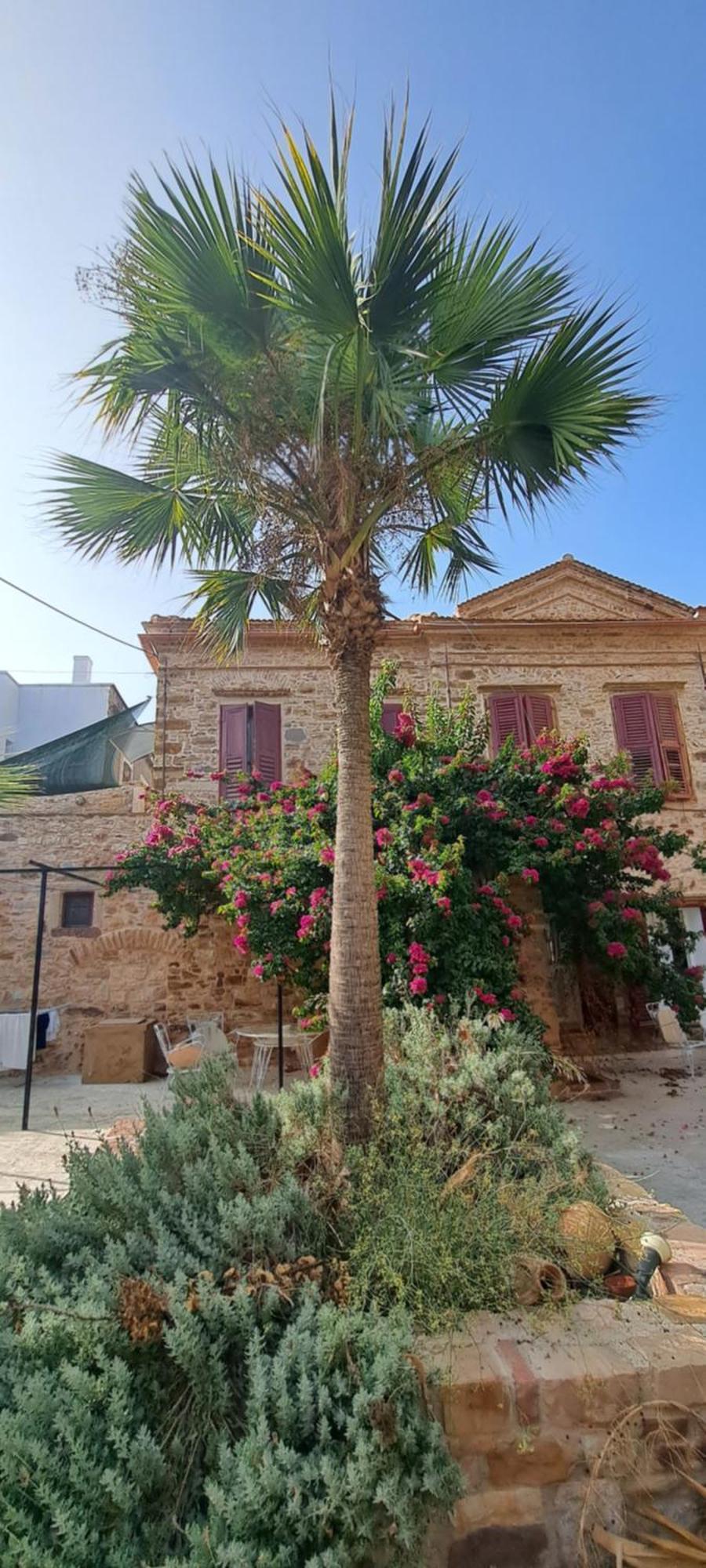 Apartamento Garden Of Chios - Mosaic Exterior foto